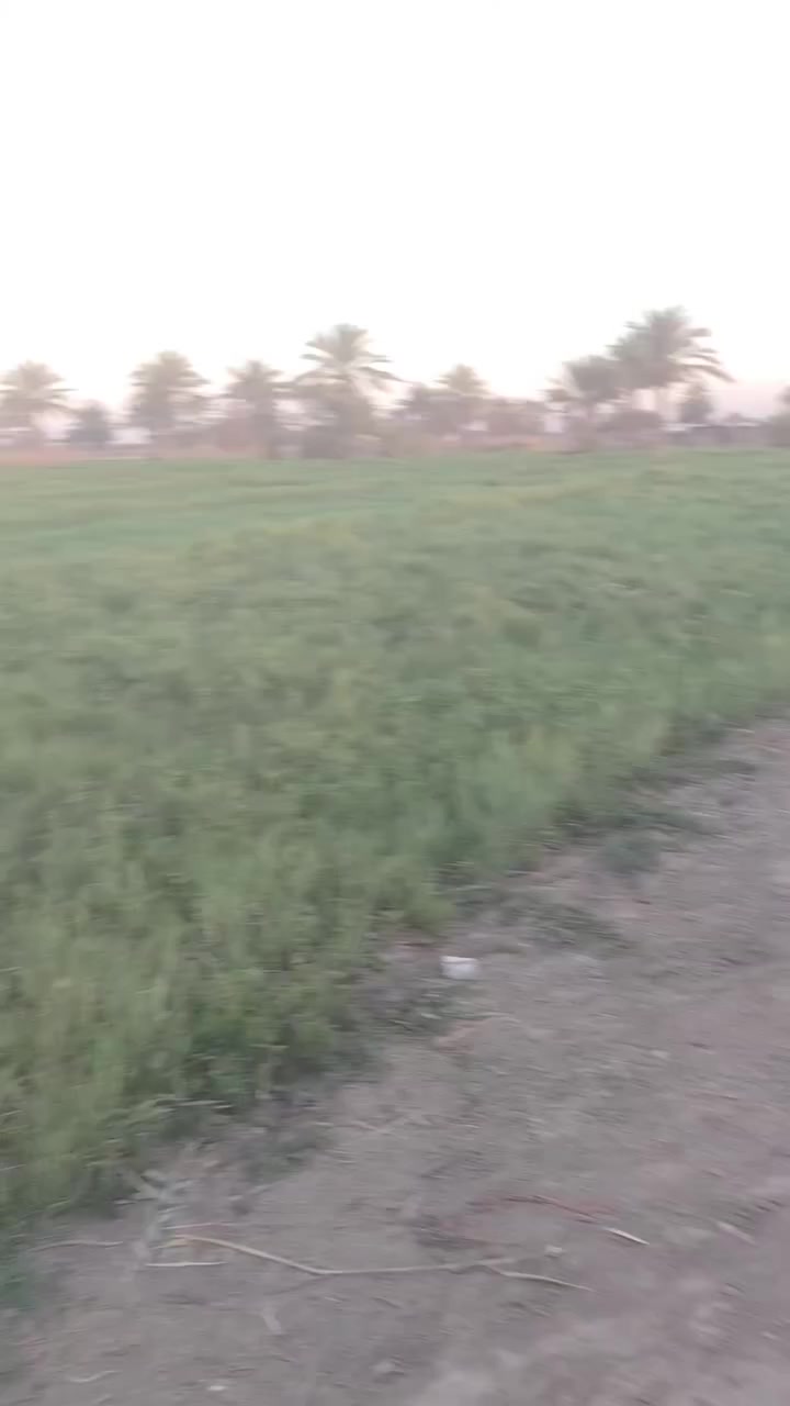 السلام عليكم اربعين دونم باسم شخص واحد كافه الخدمات ماء نهر وماء إساله وكهرباء وتبليط  بين الجهتين كما موضح في الصوره. الموقع ورديه خارج الطابه للاستفسار اكثر الاتصال على الرقم ***********
