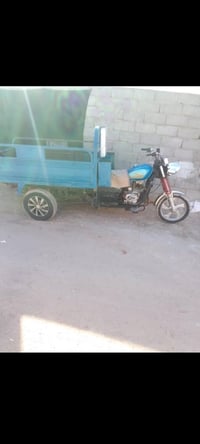 ستوته • فحل • للبيع