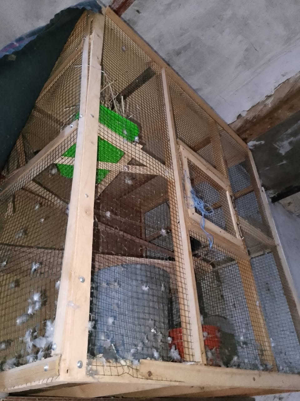 خانه ام 3 ب 25 قفص ب 25 اخشاب ومعاكس ب 10 بيعا وحده مكاني كرمه علي حي الرساله ***********
