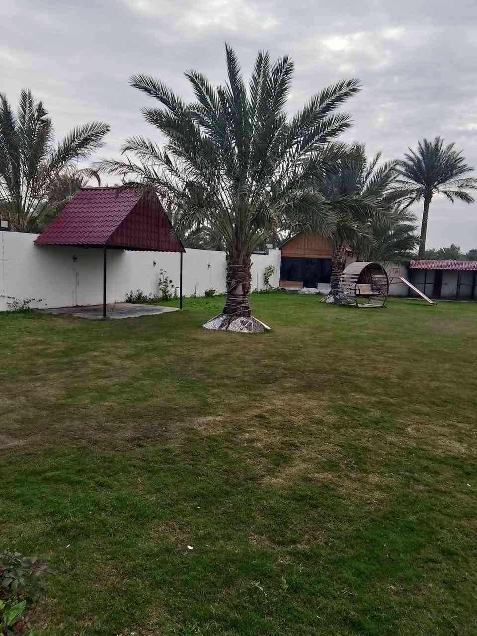 سلام عليكم يوجد لدينا مزارع اليجار في البوعيثة بسعر ***********مناسب موثقة بتطبيق اجرلي ا التواصل وتصلح المناسبات يتوفر اليوم مساي
