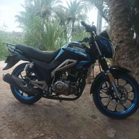 شاينك • ٢٠٢٣ • ٢٥٠سيسي