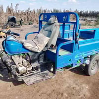 ستوتة جمرة • بدون أوراق • ناصرية سيد دخيل