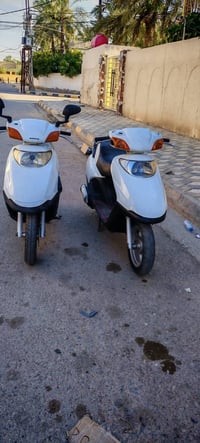 سبيسي • ماليزي • واسط