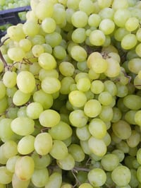 يوجد لدينا خدمة توصيل داخل الحرية 07840526627  للحجز واتساب