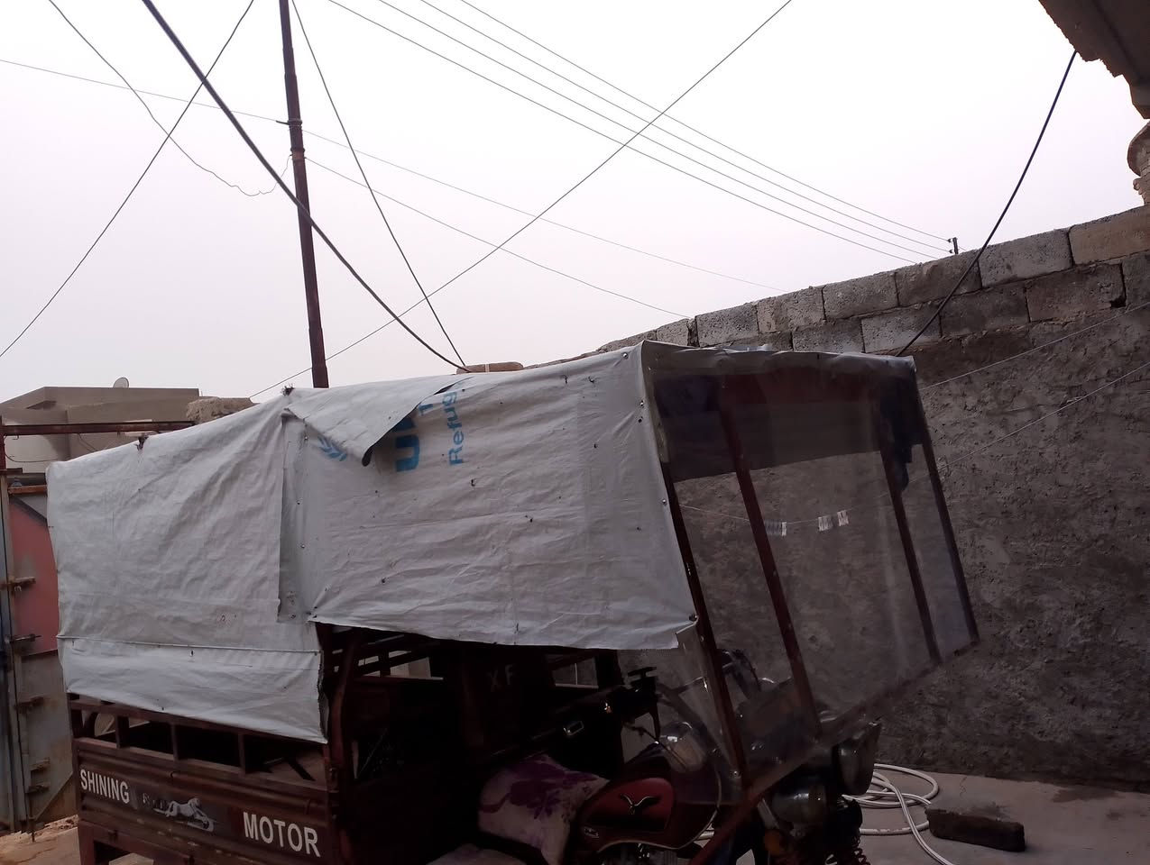 محجل مال ستوته للبيع
***********
