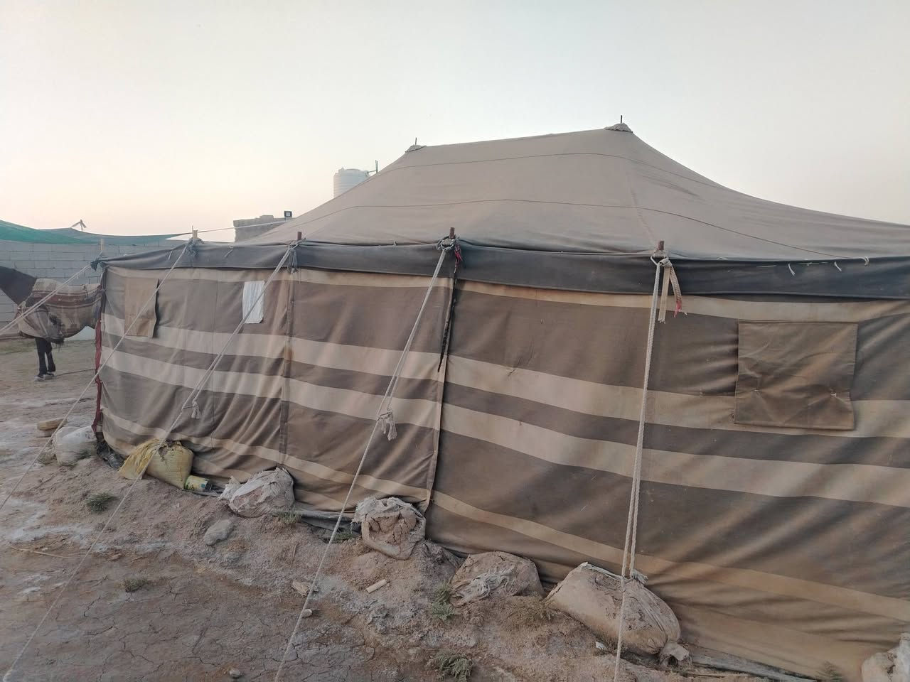 خيمة للبيع حجم 6×4
خيمة جديده انشدت بلشته
كامله مابيه اي نقص
سعر وباقي تفاصيل خاص


**إذا كنت صاحب هذا الإعلان وتريد حذفه لأي سبب، رجاءا أرسل رسالة إلى الدعم الفني**