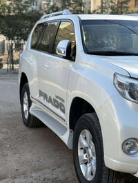 برادو ٢٠١٤ • رقم اربيل • ٧ راكب