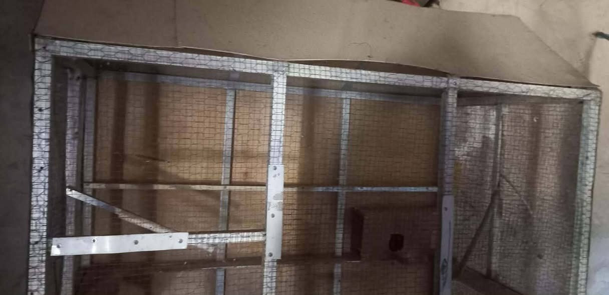 للبيع قفص  طيور حديد قياسه متر وستين
بسعر 70الف
وبراد ماء منضدي يشتغل بس الحار بسعر 25


**إذا كنت صاحب هذا الإعلان وتريد حذفه لأي سبب، رجاءا أرسل رسالة إلى الدعم الفني**