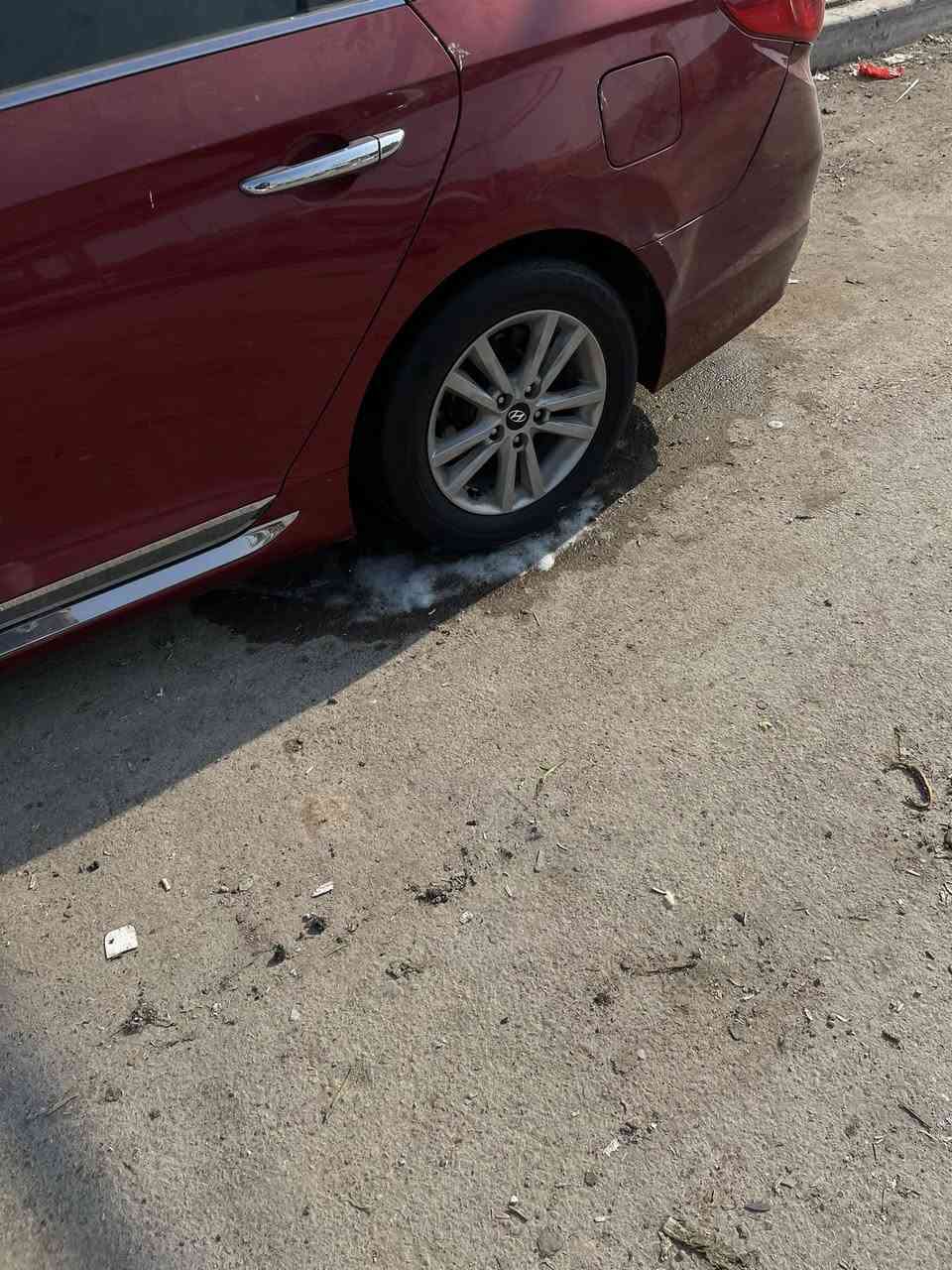 سوناتا لبيع او مراوس بعد افضل  كفاله عامه من دعاميه لذعاميه  دبل كزوز. كشن كهرباي  اشاير بل مري كشفات  بلاجكتورات جنطه ذكيه موصفات سبورت  شاشه  غرفه جديده تخبل  سياره نضيفه احله من الصوره مكان كربلاء رقم كربلاء. مكينه جي دي اي سياره امريكي وارد كوري  فدوه اقره منشور ولا تكلي شبيه مابيه كلشي ذكرت بل منشور   والسياره تروحلكم فدوه


**إذا كنت صاحب هذا الإعلان وتريد حذفه لأي سبب، رجاءا أرسل رسالة إلى الدعم الفني**