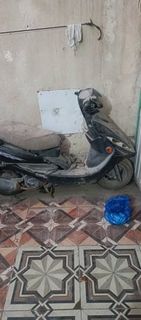 ثعلب ياباني • جي فور كايمة • ناصرية