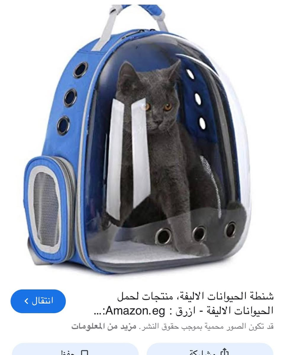 متوفر قطعتين ب١٨


**إذا كنت صاحب هذا الإعلان وتريد حذفه لأي سبب، رجاءا أرسل رسالة إلى الدعم الفني**