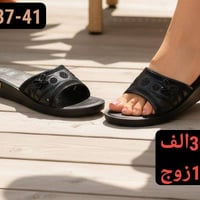 جملة • شحاط نسائي • شحاط بناتي