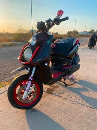 سكنس جبلي • معدل • بوشه58