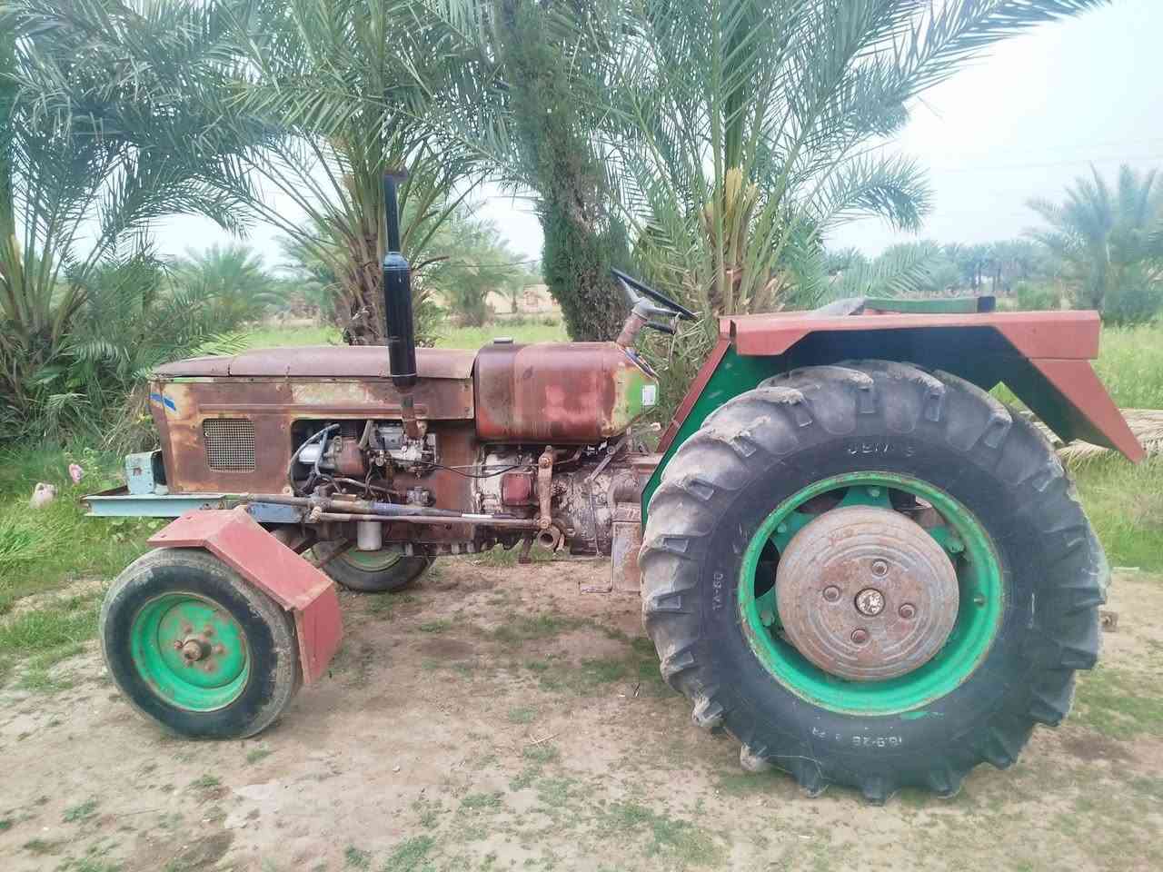 عنتر 93 سنويه اصولي وياهه وكاله من المالك وياهه فدان  سعر 6مليون وبيه مجال مكان بابل الشوملي  
***********

