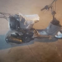 عندها اليوم اهل للبيع ما ابي صوتك زين وشاصي انطيه شرط ما بيه كسر سعر12...