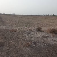 طابو زراعي • ٥ دوانم • مقابل معمل الزفت