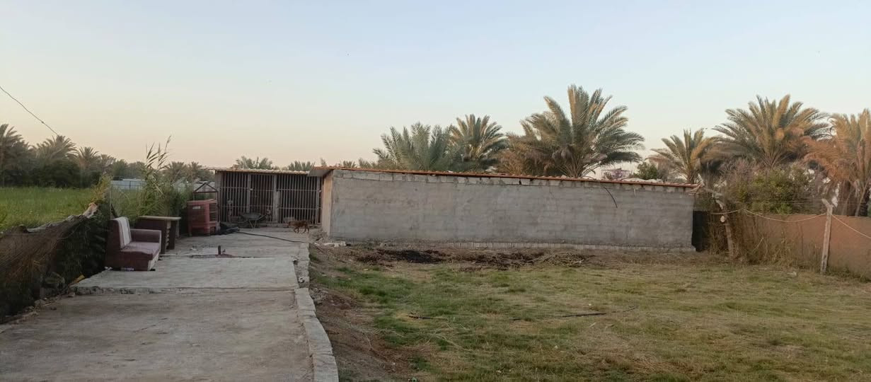 550 متر ركن طابو  زراعي سند 25 تتوفر فيها جميع الخدمات ماء اساله وماء سقي وكهرباء ومسيج بالكامل والتبليط يبعد عنها تقريبا 500 متر والتعامل مع صاحب الأرض مباشر العنوان بغداد الراشديه نهاية منطقه العاصفه السعر 43مليون  وقابله للتفاوض للاستفسار مكتب العبيدي للعقار ***********
