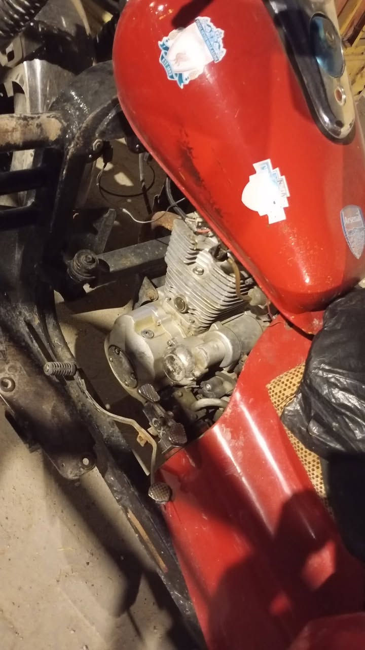 ستوته البيع رقم اسود ***********
