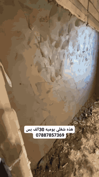 شغل يومي • خدمة