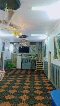 نهايه شارع البريد • ٧٠٠م • ٤ غرف