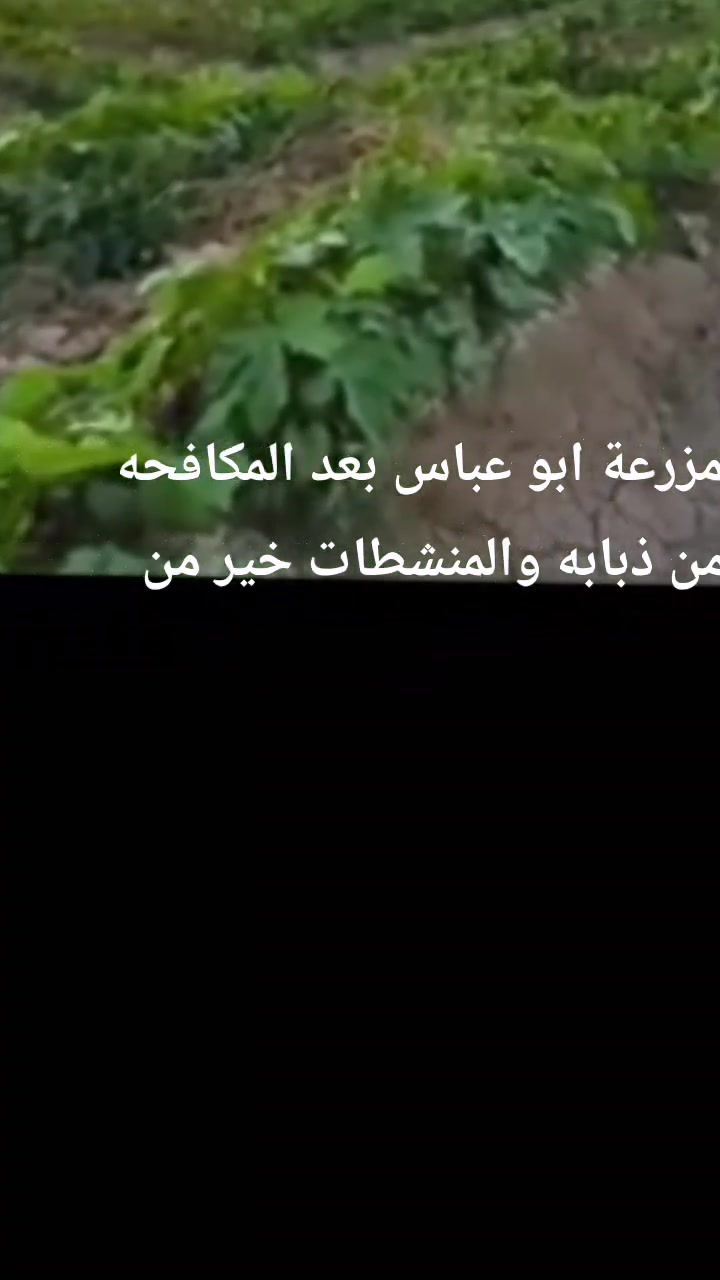 سلام عليكم ورحمه الله وبركاته يوجد جميع العلاجات والمنشطات ومبيدات الحشريه ذبابه عناكب نمل غزيل المحاصيل الصيفيه وسرط شغل بااسعار تنافسه مع خدمة توصيل الحجز مراسلة الحساب أو اتصال ع رقم او مراسلة ع واتساب *********** 

شرط نفس هذا البستان هيج بستان حيوي وانتاجي
