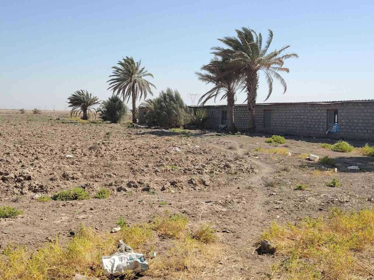 اللهم صل على محمد وآل محمد (ص )أرض زراعية للبيع المساحة ٣٠ دونم
مع حقل دواجن ٥٠٠ متر مربع جاهز للعمل
مع ٢ بيت
المكان النيل مضخات كيش قرب مدرسة دمياط الابتدائيه
للاستفسار *********** ***********
