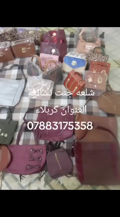 شلعه جنط نسائيه


**إذا كنت صاحب هذا الإعلان وتريد حذفه لأي سبب، رجاءا أرسل رسالة إلى الدعم الفني**