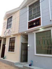 البوبيات قرب البرتقاله • بيتين • ٥٠م