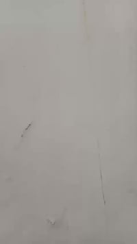 حي الجامعه • 100م • غرفة وصالة