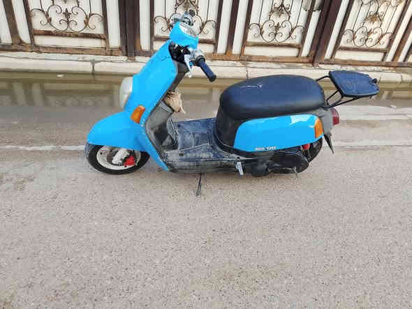 السلام عليكم للبيع ماكس بوليس دراجة مكفولة كفالة عامة من كلشي تجي وتفحص وتكلب دراجة ما بيهة اي نقص دراجة كفرات مختمة مكينة طابوكة جديدة السعر 490 مكاني دورة اتصل واتس اب ***********
