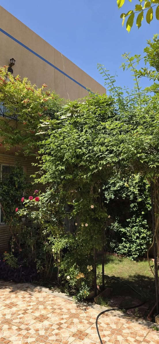 🏡 دار للبيع في مجمع الكوثر السكني

🔹 المساحة: 150 متر مربع
🔹 طابقين
🔹 الطابق العلوي: غرفة نوم
🔹 الطابق السفلي: غرفة نوم + استقبال + مطبخ

✅ البيت حر وغير مطلوب
✅ باسم شخص واحد
✅ موقع هادئ ونظيف جداً

📞 للاستفسار:
***********
