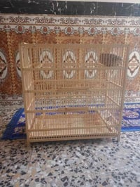 قفص تبزير • بلابل