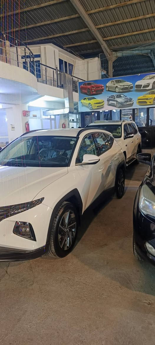 توکسۆن مودیل 2020 شکل نوێ خەلیجی دەعامی لۆ دەعامی بەشەرت قەترە سبوغی نیە پارچە کرانەوەی نیە تحویل وەکالا بەشەرت نرخ 188 شوێن هەولێڕ ***********
*********** أربيل, العراق
