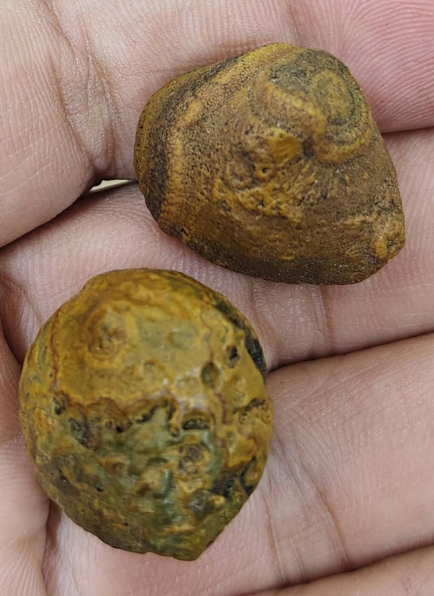 12 حجره سليماني و داودي خامات كلش حلوه جمله فقط سعرهن 60 الف واصل يمك يوجد توصيل  كافة المحافظات عنواني بغداد واي استفسار على الخاص


**إذا كنت صاحب هذا الإعلان وتريد حذفه لأي سبب، رجاءا أرسل رسالة إلى الدعم الفني**