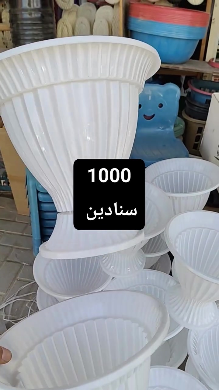 مجمع تنزيلات حمزه 
عروض جديدة 
العنوان شارع المستشفى بالقرب من مستشفئ المسيب العام 🚑🚦🚦🚑


**إذا كنت صاحب هذا الإعلان وتريد حذفه لأي سبب، رجاءا أرسل رسالة إلى الدعم الفني**