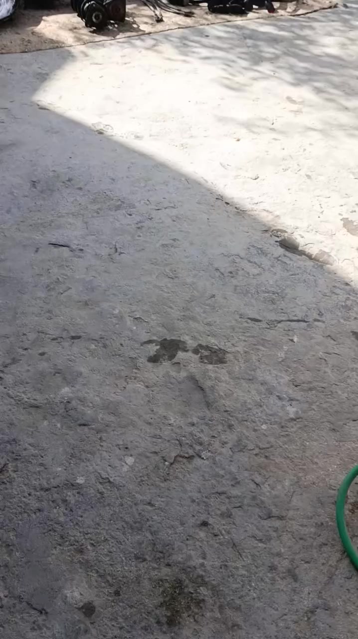 السعر: 125
للتواصل: ***********
