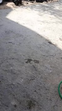 السعر: 125 للتواصل: 07828797673