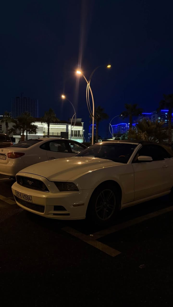 موستانگ ٢٠١٣ سفری ئێرەیە سەیارەکە

سەیارەکە زۆر خاوێنە مەسرفی تێدا نیە کەشفی مەزبوتە 
گێرو مەکیناو کارەبایەتی بە شەرتەو مەزبوتە
بەرمەجەی پۆپ بانکی لەسەرە 
تایەو ویلی نوێیە و خاوێنە
٣ پارچەی پێشی هەیە بێ ئێرباگ  بێ ژورێ
بە ناوی خۆمەو هەزەو سەنەوی رەقەم نوێیە.

ژ.م*********** أربيل, العراق
