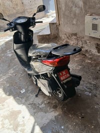 بريز ببغاء • مكفوله • كفاله عامه