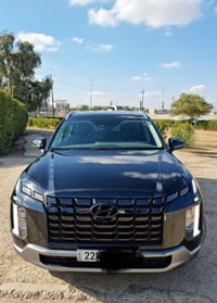 بالسيد • ٢٠٢٥ • وارد امريكي