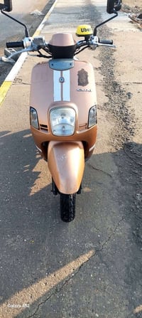 ماكس بوليس • هندل سلف • مكفوله