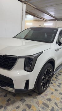 سورنتوا • ٢٠٢٥ • رقم اربيل