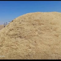 تبن أبيض • درجة أولى • كيس ٥٥/٦٠
