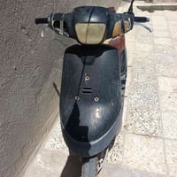 بطة • للبيع