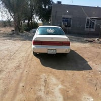 كورلا • ١٩٩٣ • سوق الشيوخ