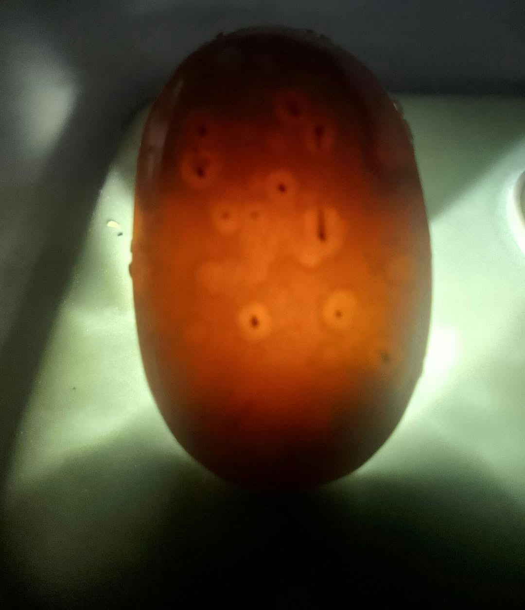 ‎بلعافيه على صاحب النصيب سليماني قديم 30‎ حلة, بابل


**إذا كنت صاحب هذا الإعلان وتريد حذفه لأي سبب، رجاءا أرسل رسالة إلى الدعم الفني**