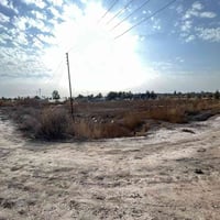 حولي المحموديه • دونم • طابو زراعي