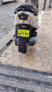 البيع ماكس مغولي كفاله عامه سعره رقمي ***********
