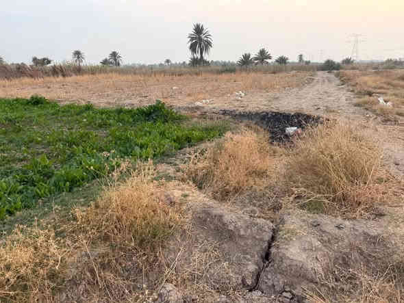 دوانم طابو زراعي سند 25 مداور باسم المشتري مباشر المكان خلف جامعه بابل تبعد عن شارع حله نجف 2 كيلو وتبعد عن التبليط 150متر الأرض زراعيه ومناسبه جداا
للاستفسار الاتصال على الرقم 
***********

