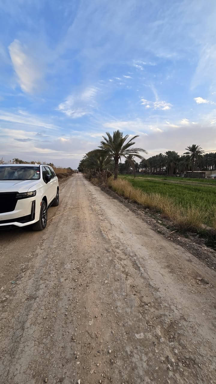 #للبيع 
أرض زراعيه ١٠٠٠ متر  طابو زراعي سند ٢٥ 🏕

تحويل بأسم المشتري 🏕

واجه ١٧  متر 🏕
نزال ٥٩ متر 🏕

تتوفر فيها جميع الخدمات 🍁

طريقها مستقل مع البزل 🍁

تبعد عن شارع البوعلوان الرئيسي ١٠٠ متر🍁

باقي التفاصيل موضحه في مقطع فيديو والصور 📷 

الموقع المحاويل قرية البوعلوان شارع ابو الطياره قرب مدرسة العروبه او البزل الرئيسي 🏕

🌿🌿🌿🌿🌿🌿🌿🌿🌿🌿🌿🌿🌿
#للإستفسار اكثر او معرفة السعر يرجى مراسلتنا او  الاتصال على الارقام التاليه او زياره #مكتب #عقارات #اراضي #المحاويل الكائن في قضاء المحاويل حي ١٧ قرب #مقهى الصياد القديم 
*********** / *********** حسين أبو شمس
